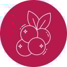icone